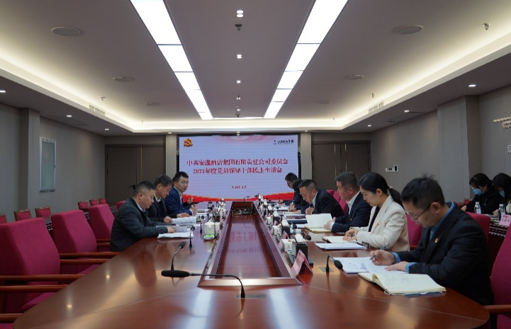 尊龙时凯集团党委书记、董事长任丁出席安逸酒店集团2022年度党员领导干部民主生活会